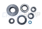 OIL SEAL KIT 80/125 M.90-99