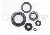 OIL SEAL KIT, 250/300cc 96/->14