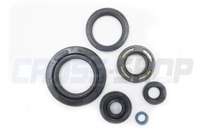 OIL SEAL KIT, 250/300cc 96/->14