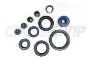 OIL SEAL KIT 450/530 cc