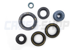 OIL SEAL KIT 85/100 MODEL 2018