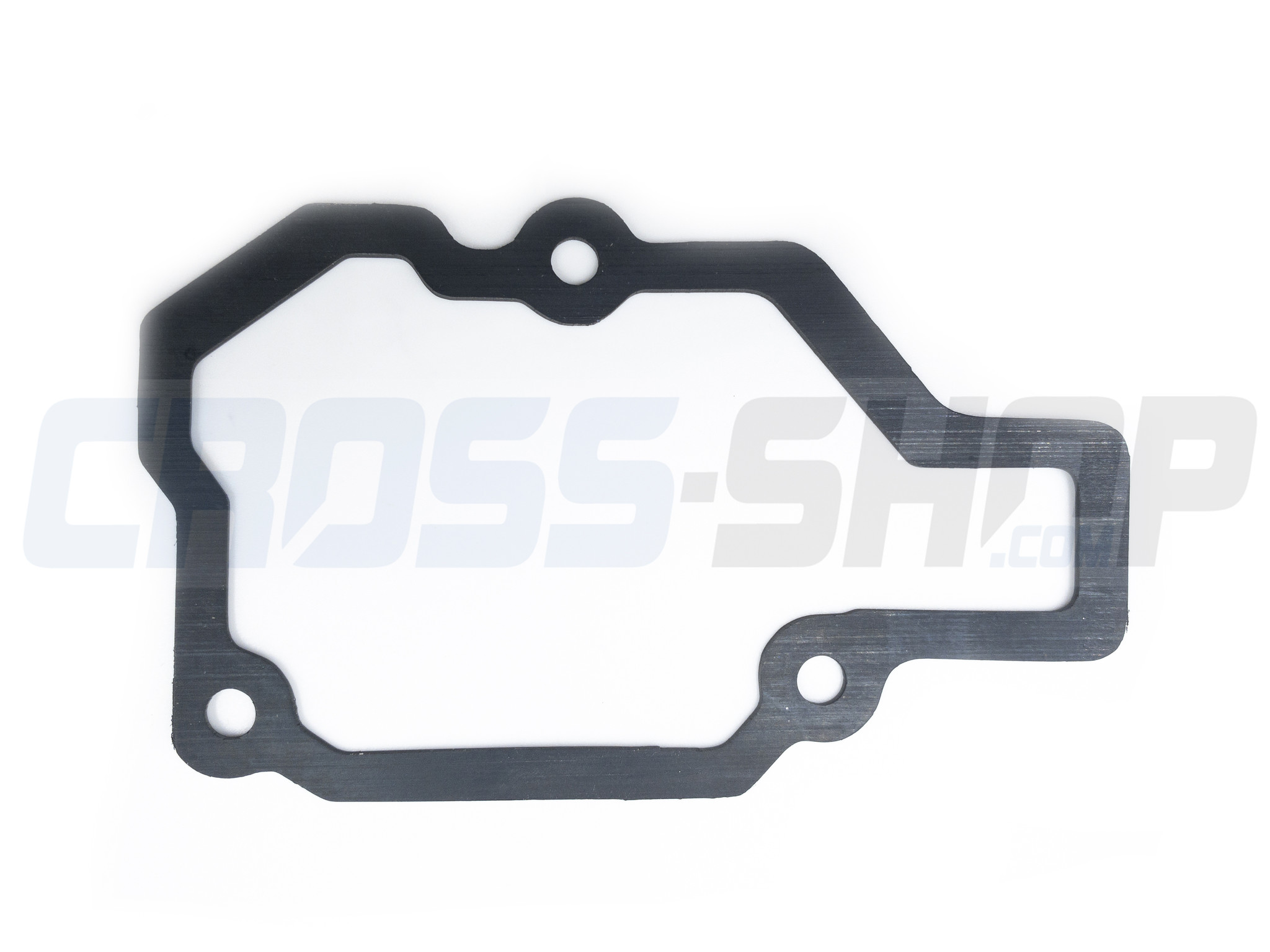 GASKET, CYL SIDE COVER 250/300