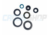 OIL SEAL KIT 250/300 EV 15->18