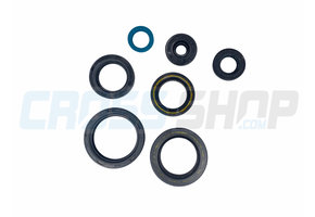 OIL SEAL KIT 250/300 EV 15->18
