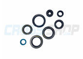OIL SEAL KIT 250/300 2T ES MY 2019