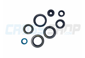 OIL SEAL KIT 250/300 2T ES MY 2019