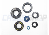 OIL SEAL KIT, 125/144cc 06/08
