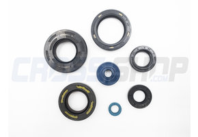 OIL SEAL KIT, 125/144cc 06/08