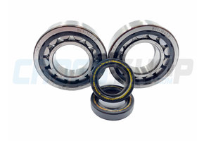 Kurbelwelle Lager Satz TM 125cc 2015-2021