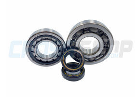 Crankshaft Bearing Kit TM 144cc 2019-2021