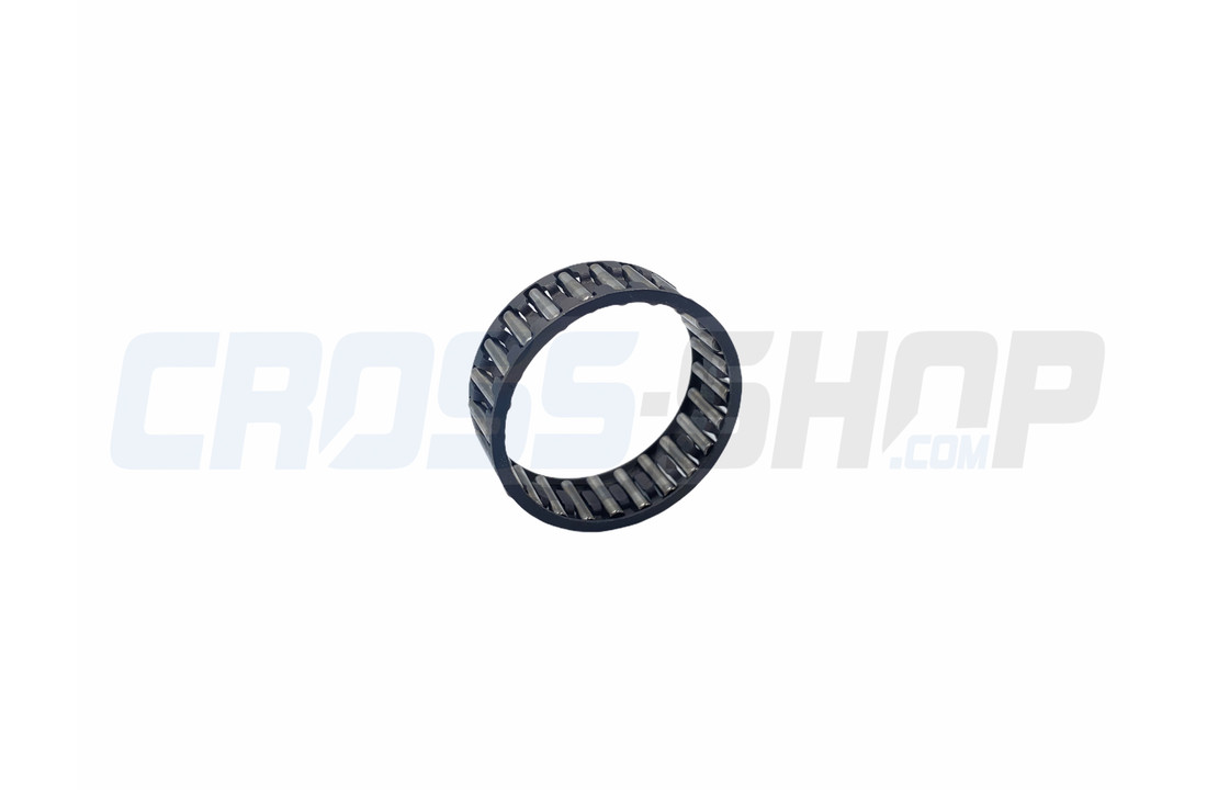NEEDLE CAGE K 25x29x10 AP250