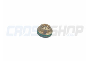 PISTON, CLUTCH PUMP 250 94/03