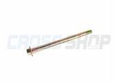SCREW TE F/R 8X120 1.25 T.10