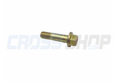 SCREW TE F/R 10X36 1.25 T.10