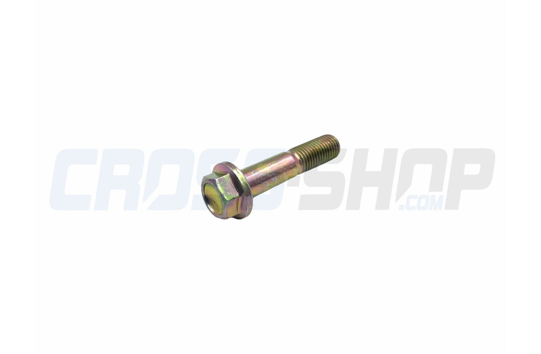 BOLT, TE F/R 10X45 1.25 T.10