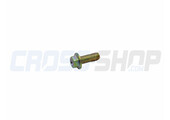 BOLT 6X16 T.8