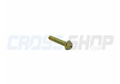 BOLT 6X30 T.8
