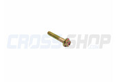 BOLT 6X35 T.8