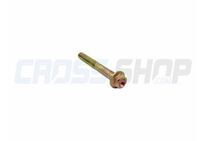 SCREW TE F/R 6X45 TOOL 8