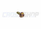 BOLT 8X35 T.10mm