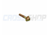 BOLT 8X40 T.10mm