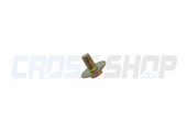 BOLT 6X10 (Kick Starter)