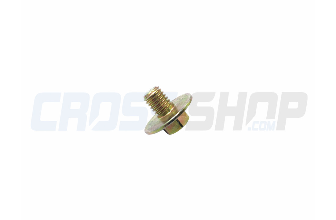 BOLT 8X10 T.10mm(Kich Starter)