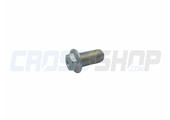 BOLT 12 X 25 FLANGE
