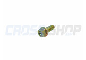 BOLT 8 X 20 FLANGE