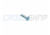 BOLT TSEI 6X25
