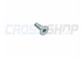 BOLT TSEI 8X25