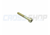 BOLT TCEI 6x40