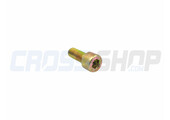 BOLT TCEI 8X20