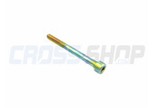 BOLT TCEI 5X55
