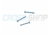 VITE TCBL 3.0X 20 FL. X PLAST.