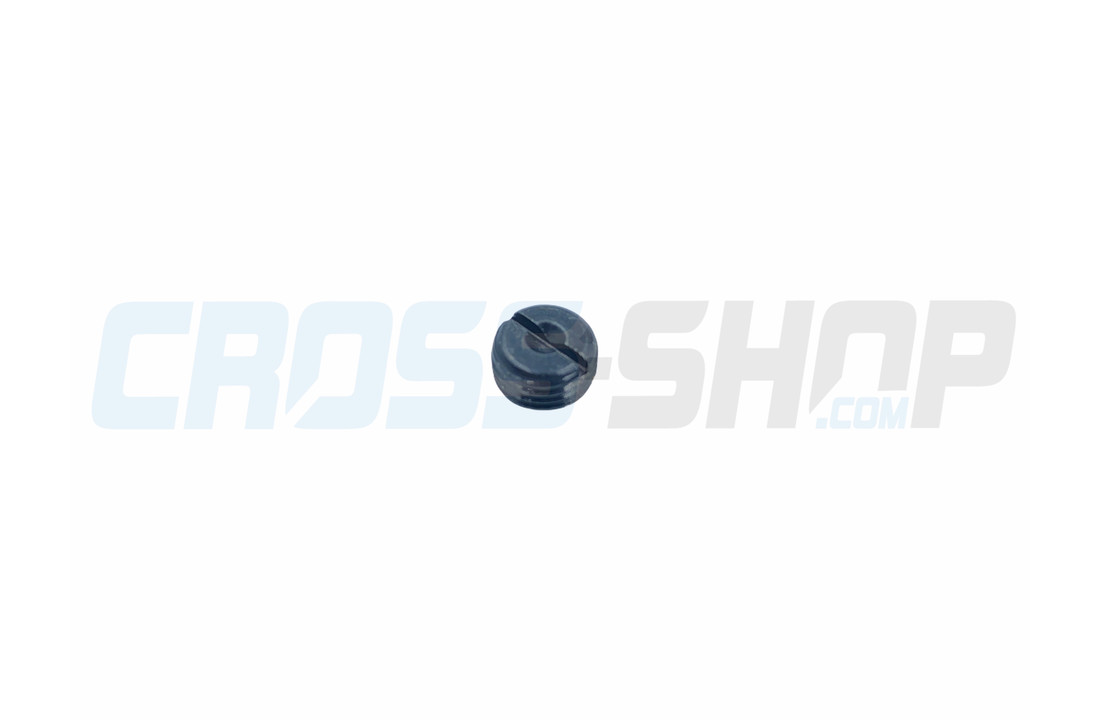 SCREW PLUG FOR BRAKE PIN 01/07