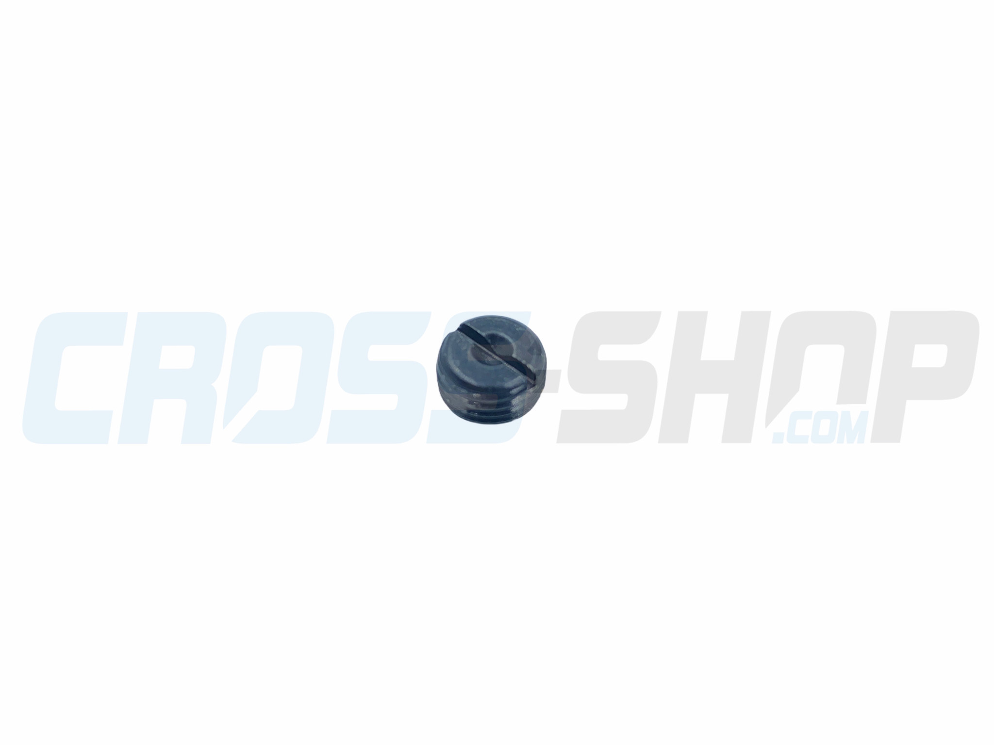 SCREW PLUG FOR BRAKE PIN 01/07