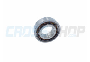 BUSH, 6003 TN9 C3 17x35x10