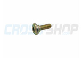 BOLT, GUARD ENGINE 6X16