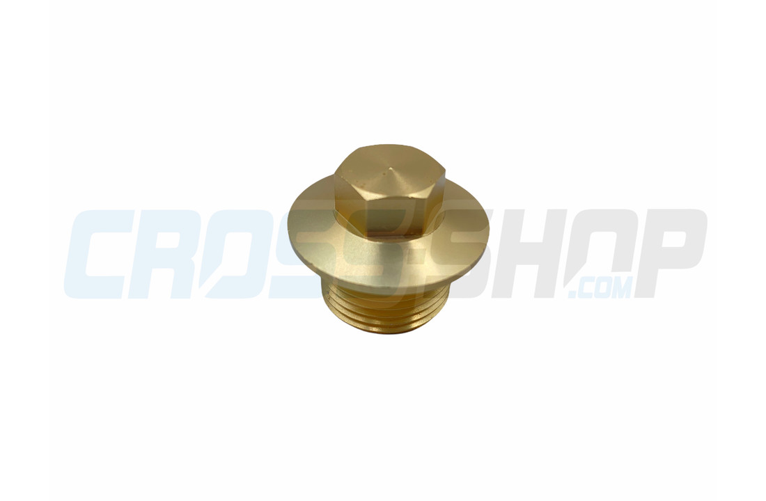OIL PLUG M20X1,5 = Updated by F49844