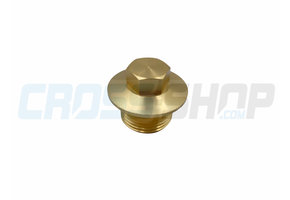 OIL PLUG M20X1,5 = Updated by F49844