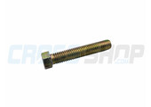 SCREW TE 8X45 SWINGARM