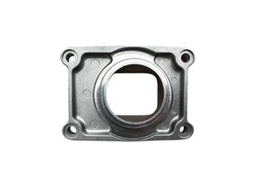 MANIFOLD, INTAKE  250/300 14/-> VF3