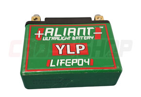 BATTERY LITHIUM ION <100WH YLP09X 12V8AH