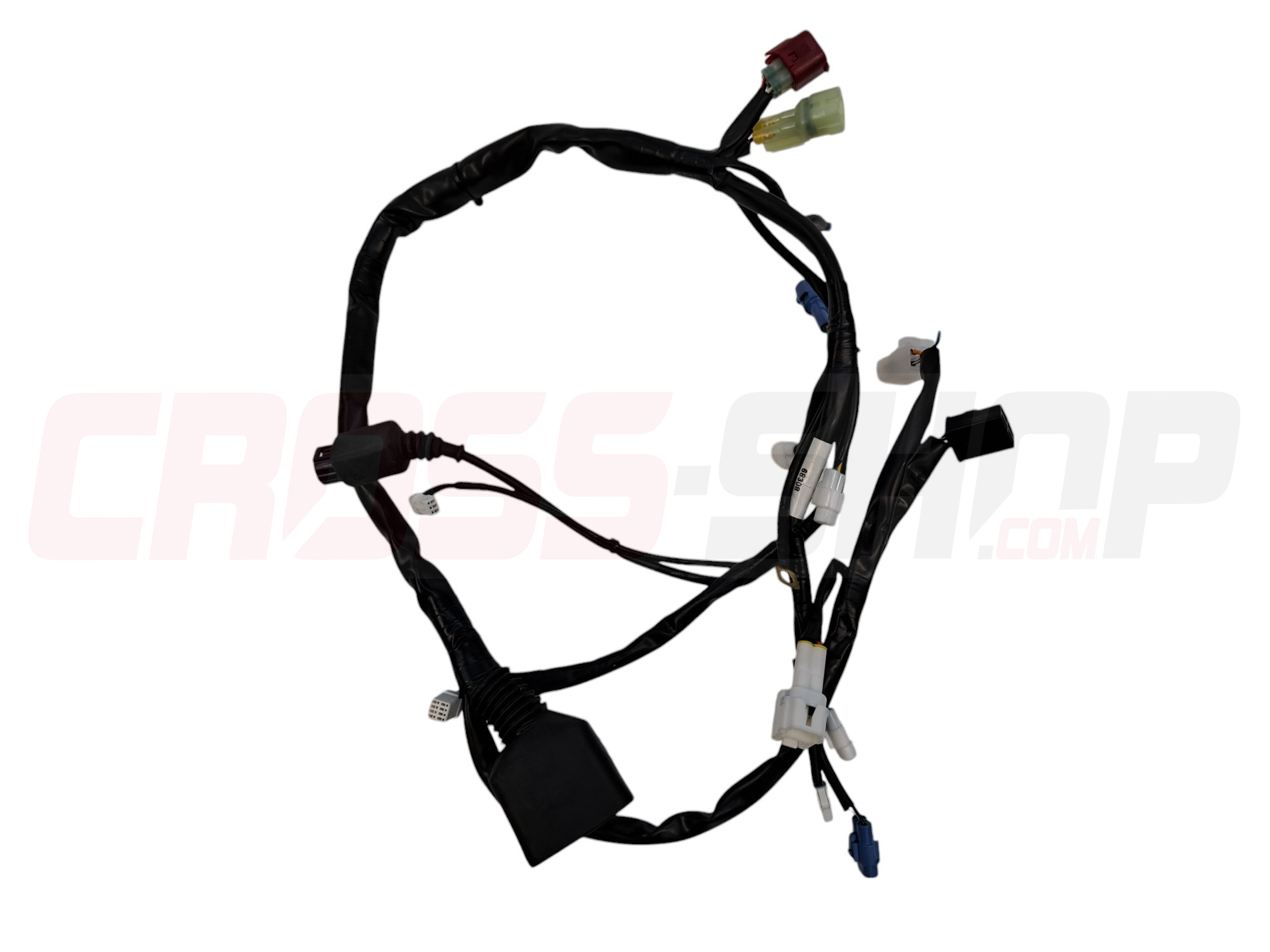 MAIN WIRING 250/300 CARB. 2022 ELEC. FAN SYSTEM READY