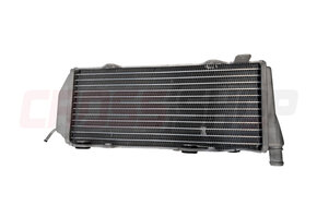 RADIATORE 2T+4T SX LUNGO MY2022 FA