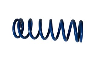 TM Rearshock spring 0.48