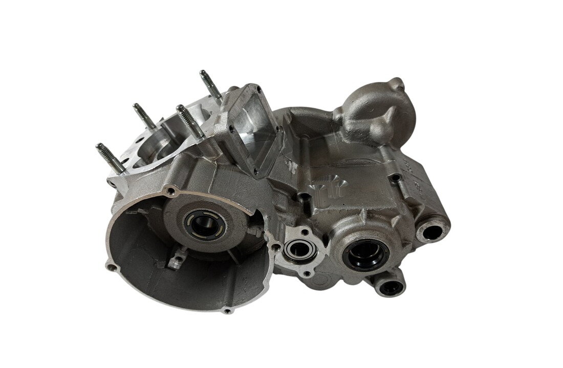 TM Engine cases 250 2015-2018