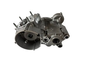 TM Engine cases 250 2015-2018