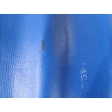 TM Seatcover (Light blue) small stain